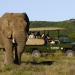 <h2>The Best of South Africa Escorted 2016</h2>13 Nights, 3 on Safari at Shamwari Game Preserve | 5 Rounds | March 2 – 16