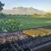 <h2>The Best of South Africa Escorted 2023</h2> 14 Nights | 6 Rounds | March 11 - 25