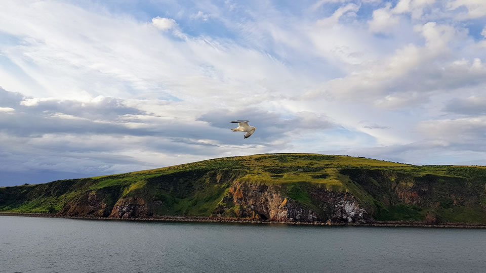 <h2>2019 British Isles Golf Cruise & The 148th Open at Royal Portrush</h2>12 Nights | 5 Rounds | Edinburgh to Southampton | July 17 - 29, 2019