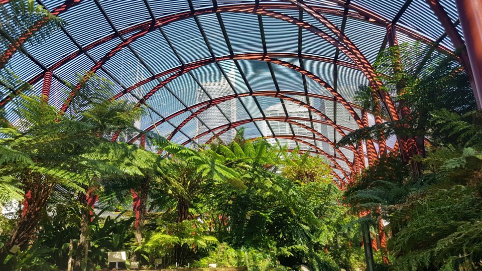 <h2>2019 New Zealand & Sydney Golf Cruise</h2>Azamara Quest (Jan)