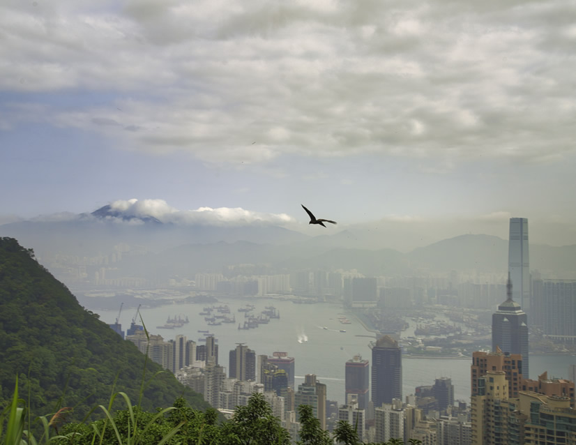 <h2>2023 Asia Golf Cruise</h2>17 Nights | 5 Rounds | Tokyo - Singapore | April 18 - May 5