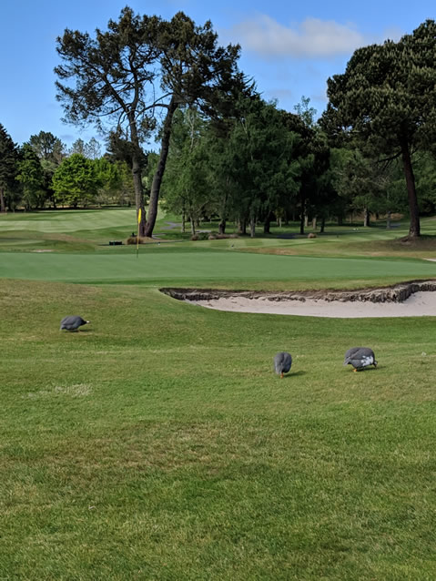 <h2>The Best of New Zealand Escorted 2018</h2>Taupo, Napier, Wellington & Queenstown