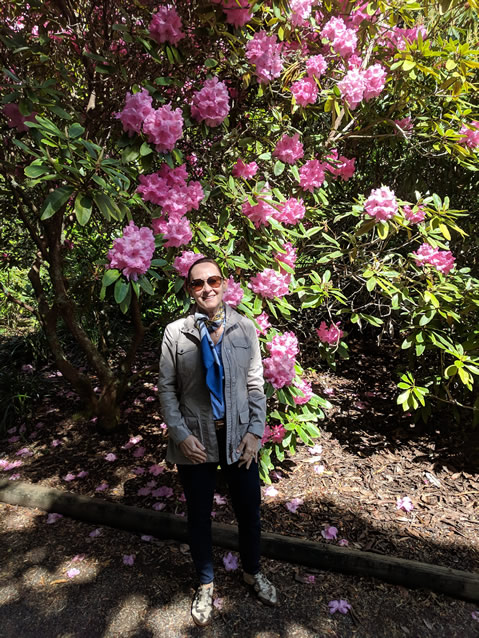 <h2>The Best of New Zealand Escorted 2018</h2>Taupo, Napier, Wellington & Queenstown