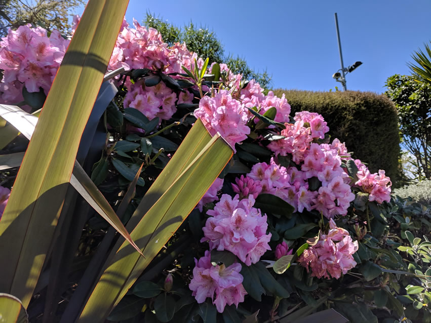 <h2>The Best of New Zealand Escorted 2018</h2>Taupo, Napier, Wellington & Queenstown