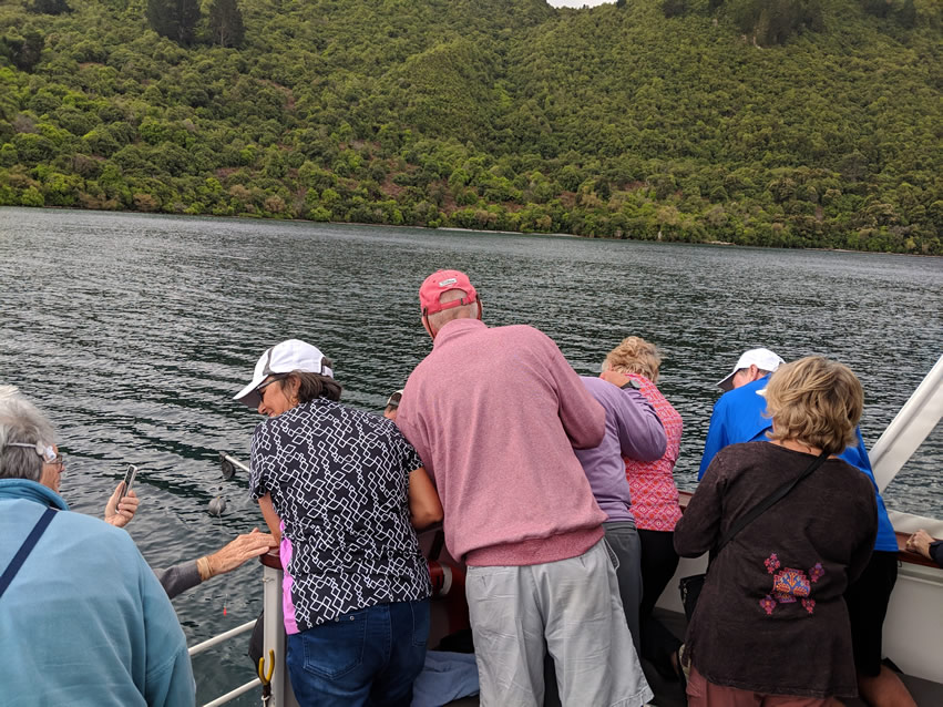 <h2>The Best of New Zealand Escorted 2018</h2>Taupo, Napier, Wellington & Queenstown