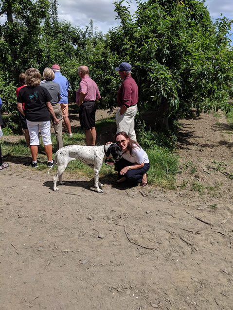 <h2>The Best of New Zealand Escorted 2018</h2>Taupo, Napier, Wellington & Queenstown